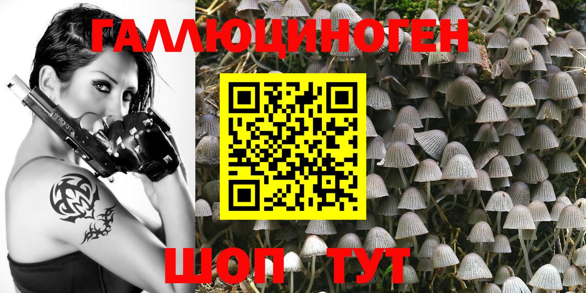 Краснознаменск  Псилоцибиновые грибы MAGIC MUSHROOMS  Вход с VPN 