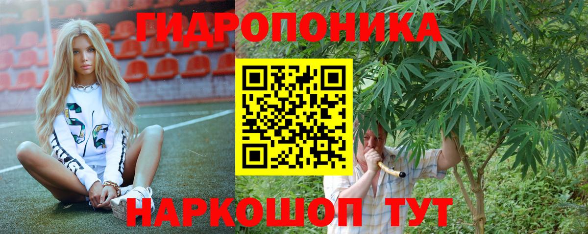 Канабис SATIVA & INDICA  Конопля тримм  Вход с VPN  Краснознаменск  Канабис ГИДРОПОН  МАРИХУАНА ГИДРОПОН 